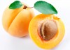 Apricot
