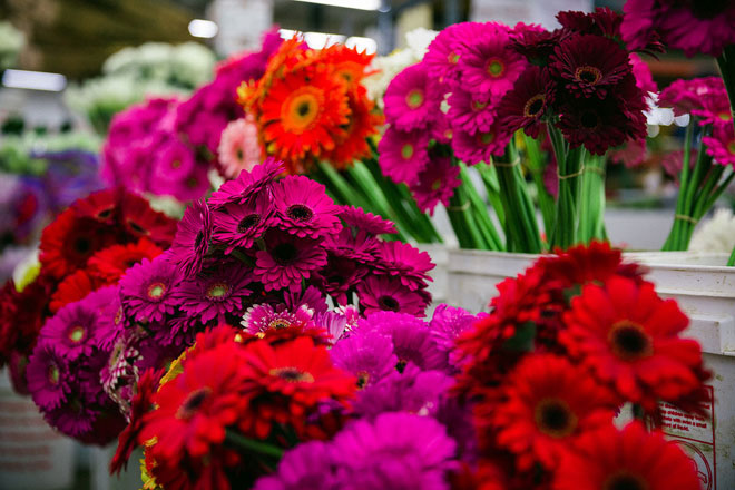 Fashion Flower