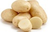 Potato (White)