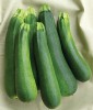Squash