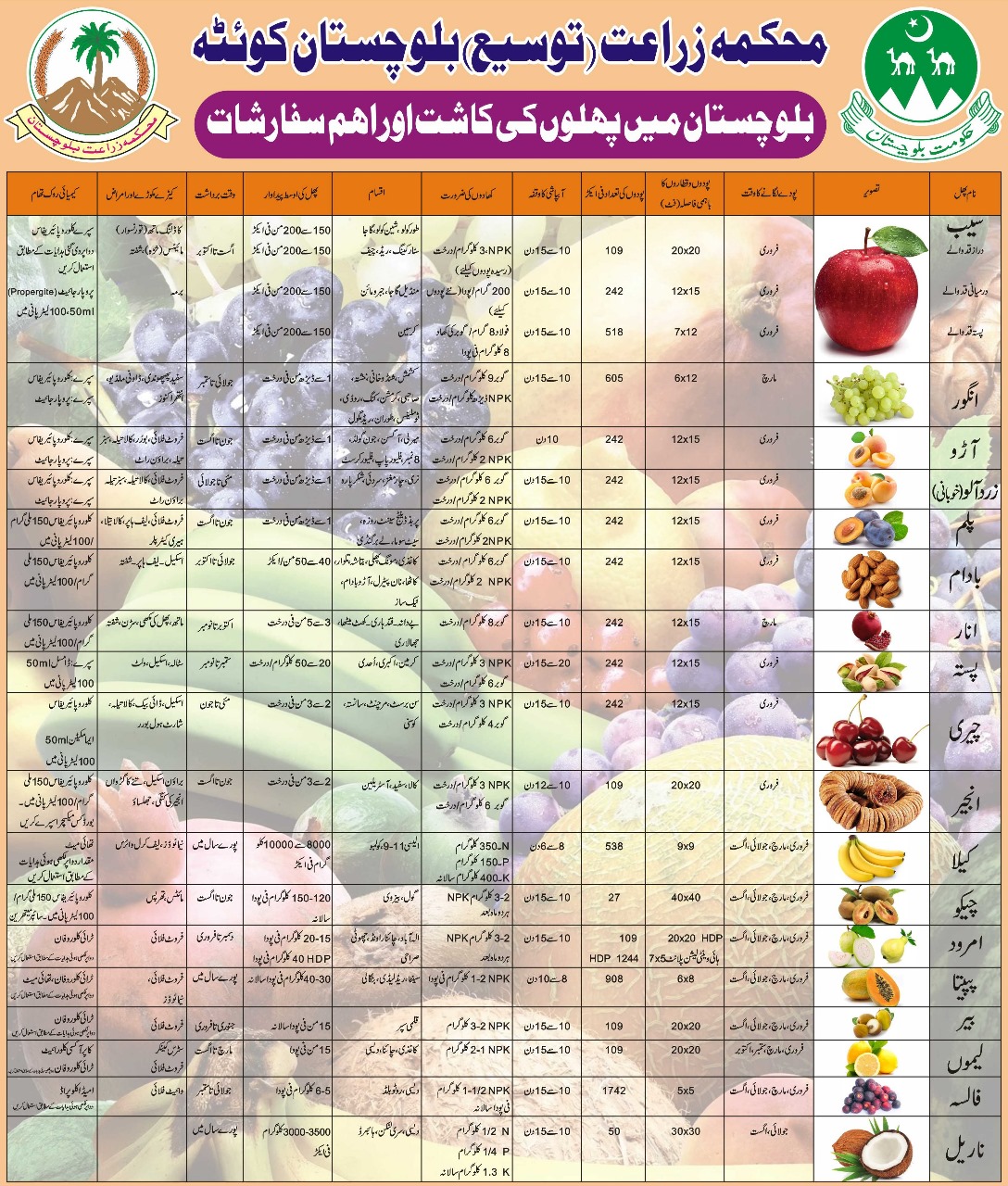 Fruits
