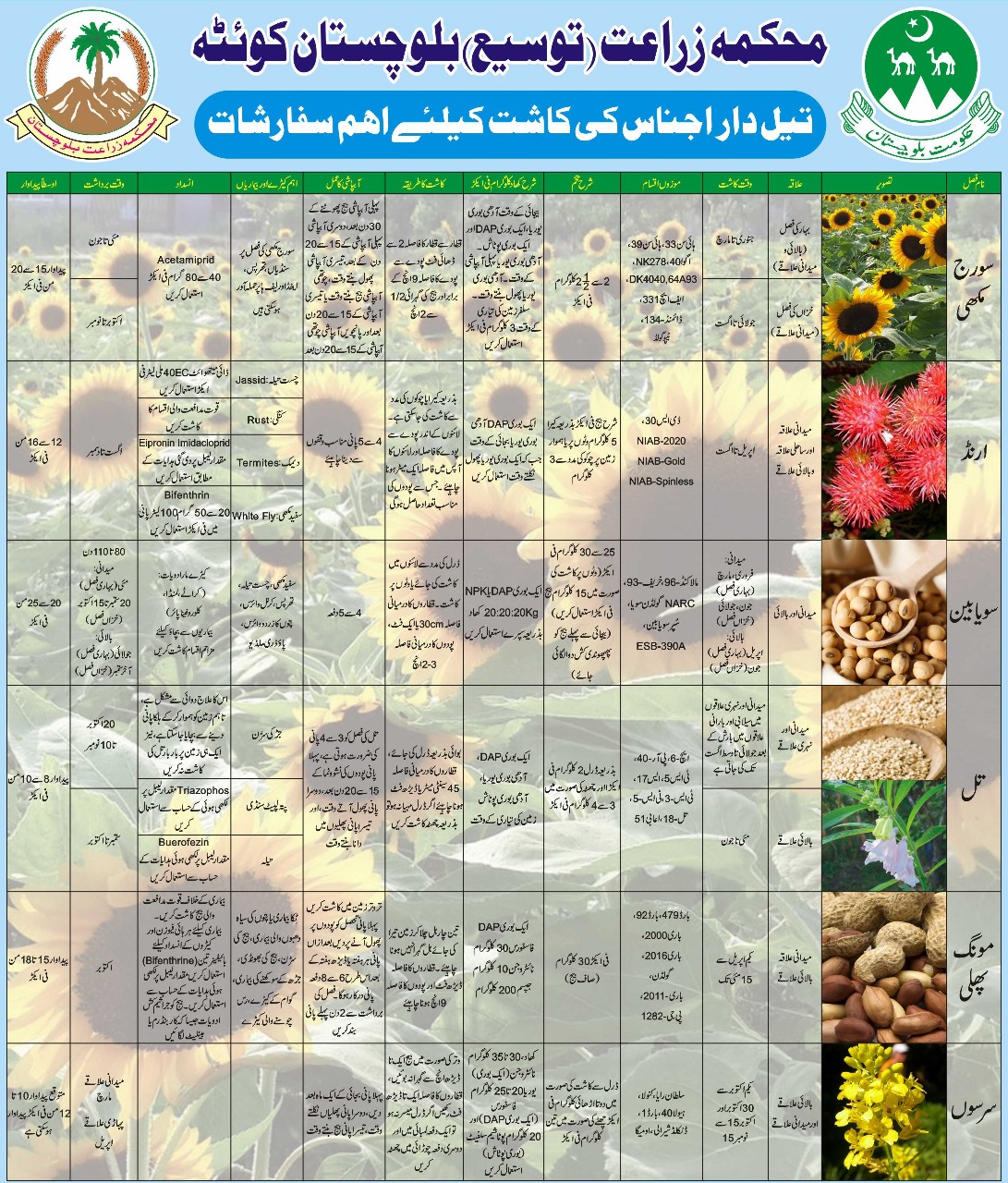 Oilseeds