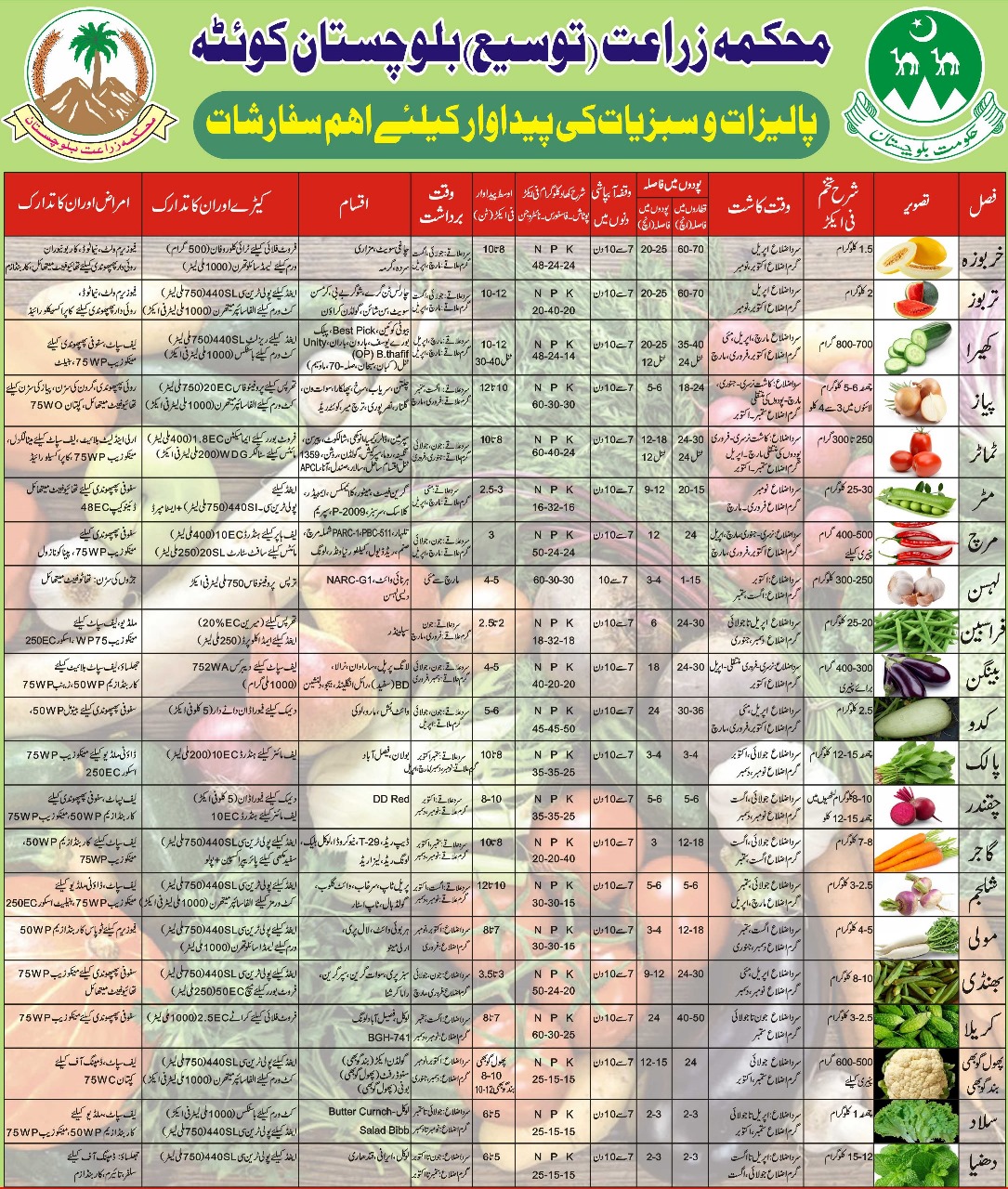 Vegetables